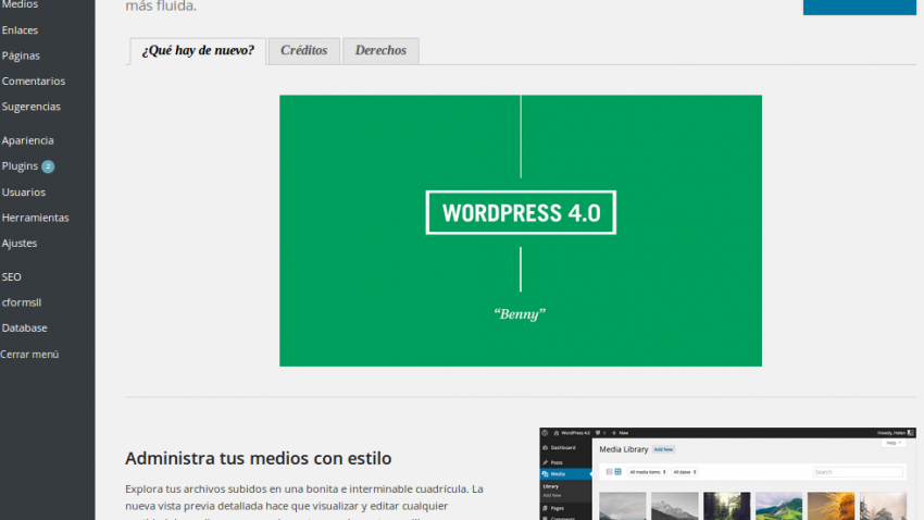 Nuevo WordPress